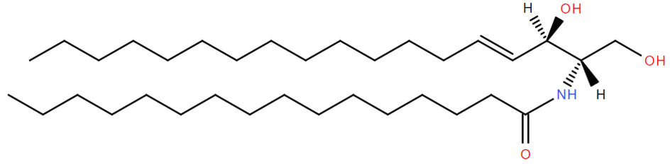 Ceramide structure