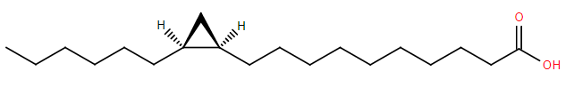 Lactobacillic acid structure