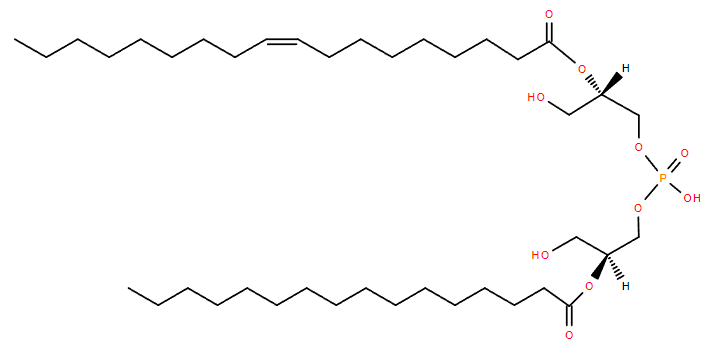 BMP structure