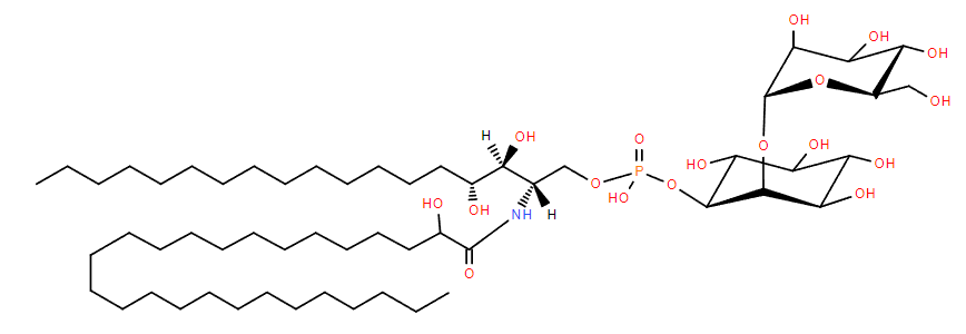 Glyco-ceramide phosphoinositol structure