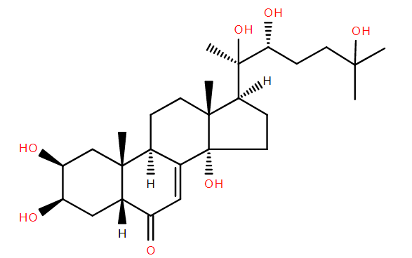 Lipid of the Month