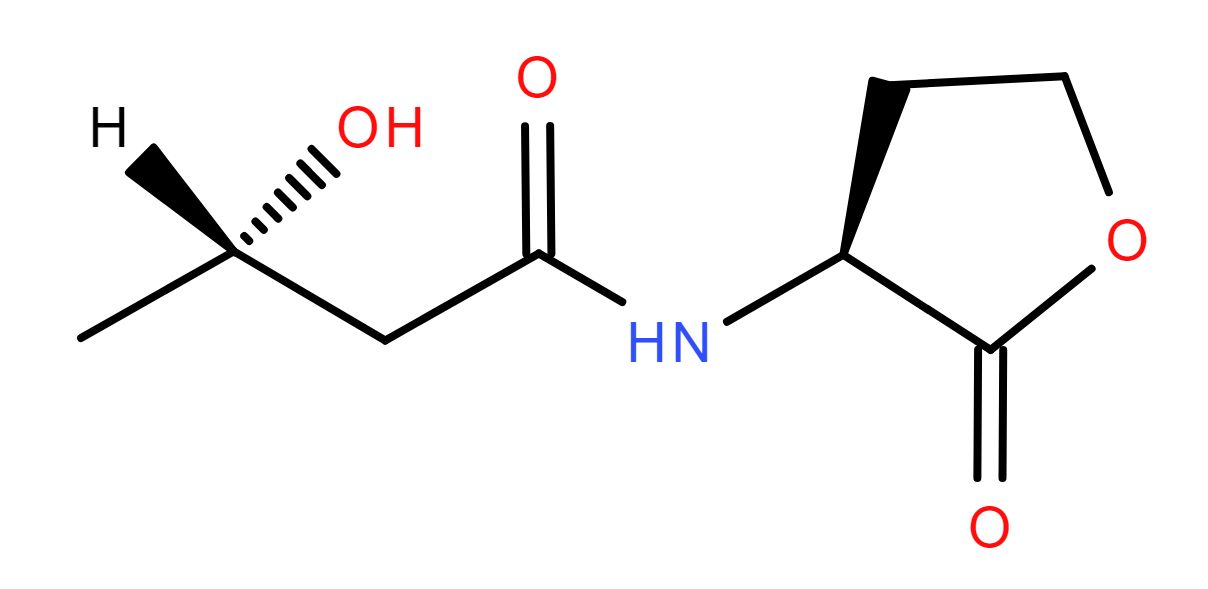 Lipid of the Month