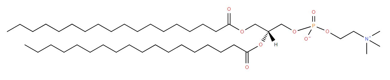 Lipid of the Month