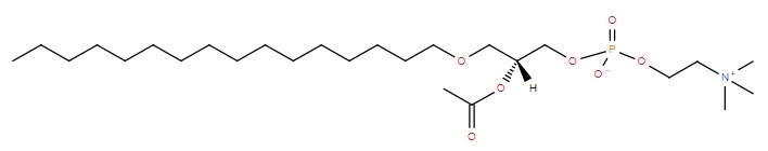 Lipid of the Month