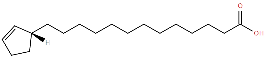 Lipid of the Month