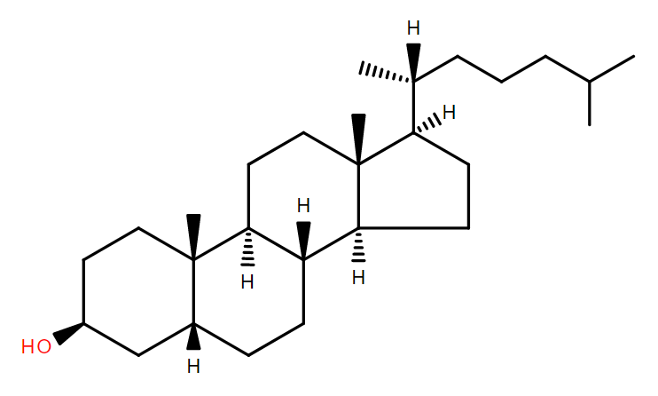 Lipid of the Month