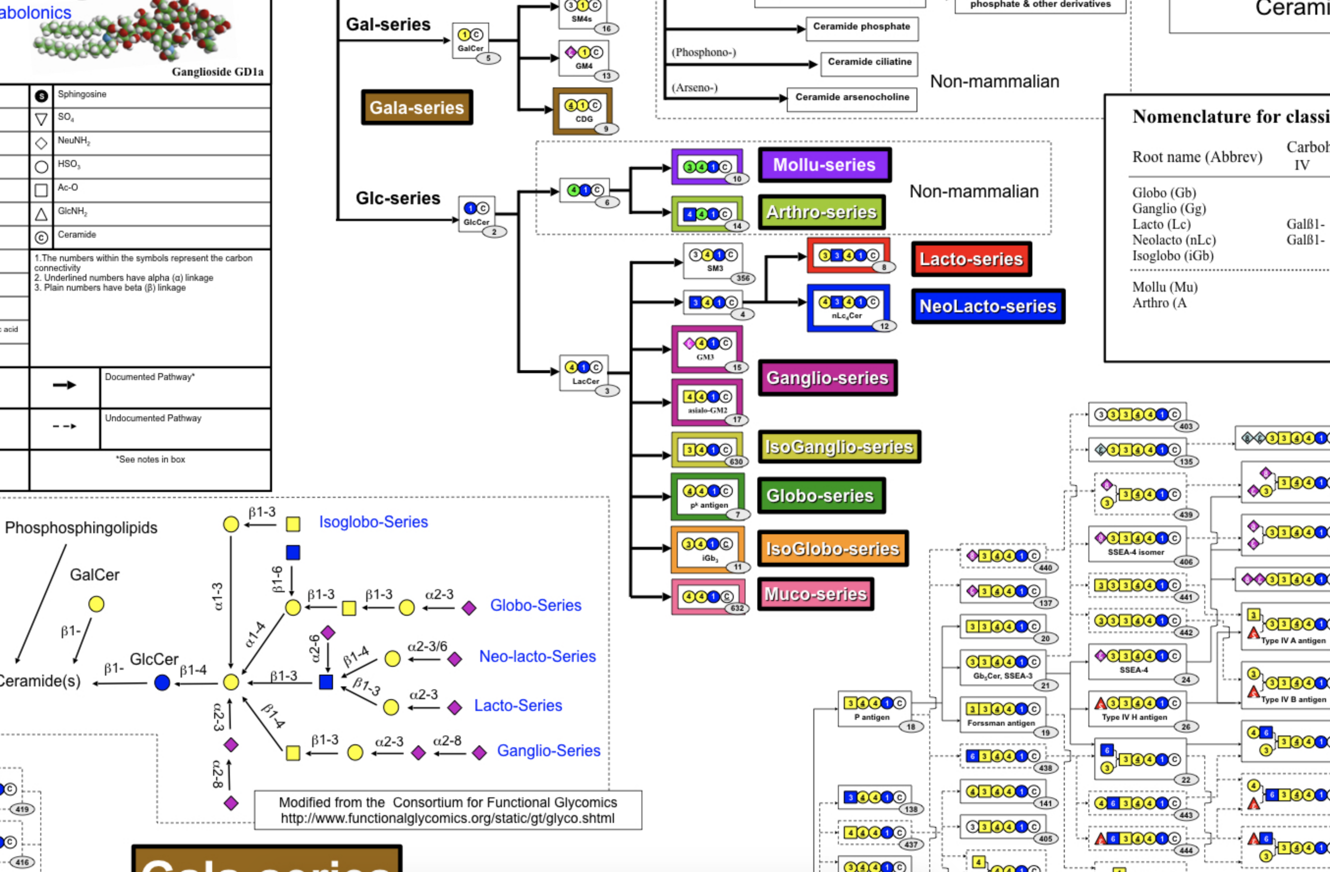 sphingomap thumbnail