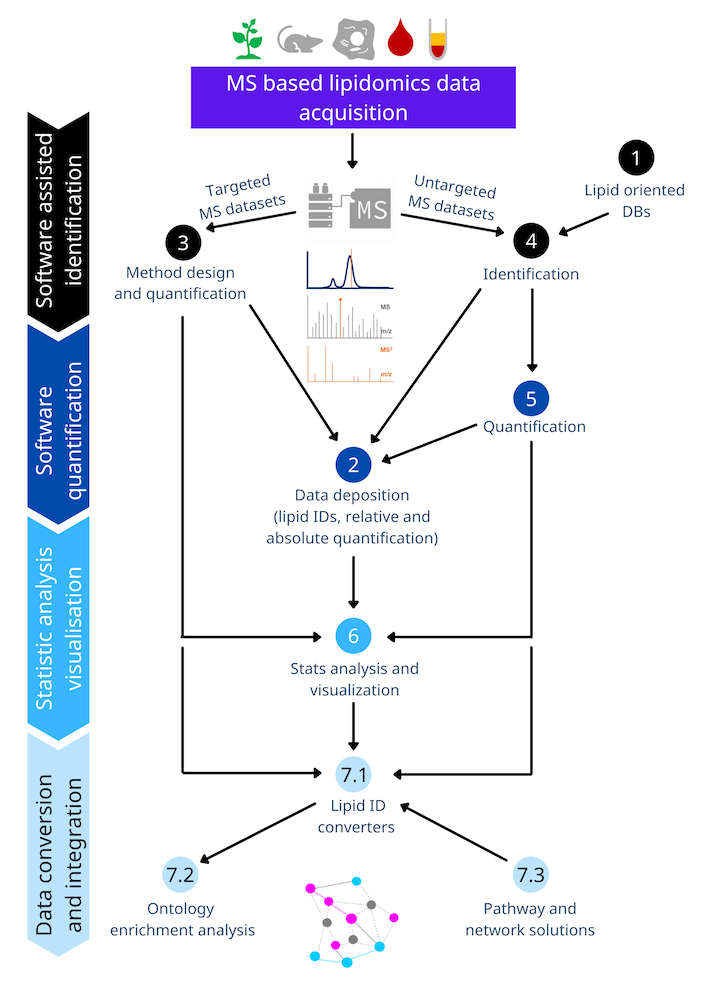 Tools Database Flow Chart