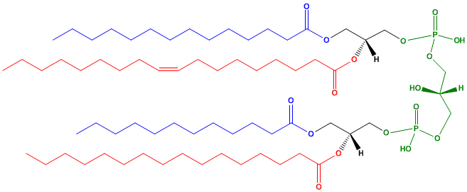 Example Structure