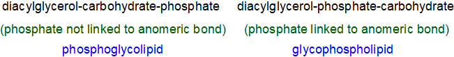 glycophospholipid versus phosphoglycolipid