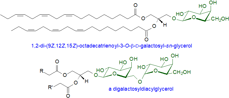 Structural formulae for mono- and digalactosyldiacylglycerols