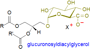 Formula of glucuronosyldiacylglycerol