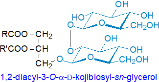 Formula of a kojibiosyldiacylglycerols