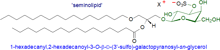 Structural formula of seminolipid