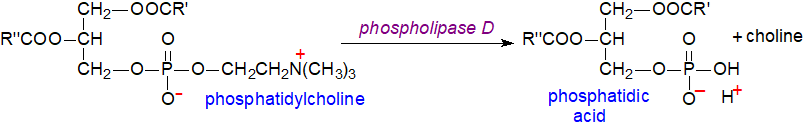 Generation of phosphatidic acid by the action of phospholipase D