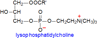 Formula of lysophosphatidylcholine