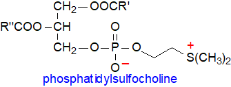 Formula of phosphatidylsulfocholine