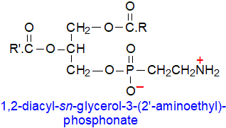 Formula of 1,2-diacyl-sn-glycerol-3-(2'-aminoethyl)phosphonate