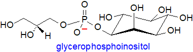 glycerophosphoinositol