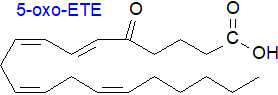 Structural formula of 5-oxo-eicosatetraenoic acid