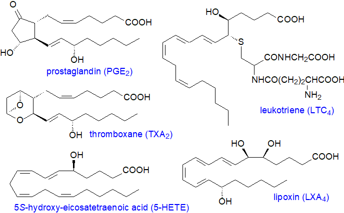 Structures of some eicosanoids