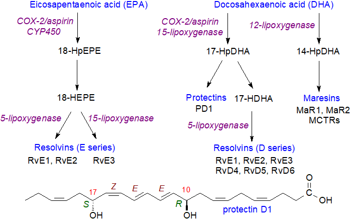 Biosynthesis of specialized pro-resolving mediators