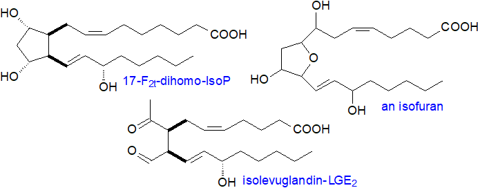 Further isoprostanes derived from omega-6 fatty acids