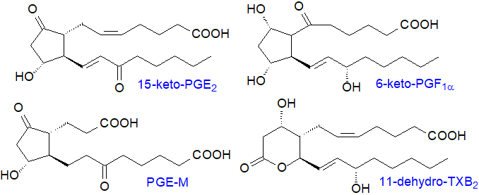 Catabolism of prostanoids and thromboxanes