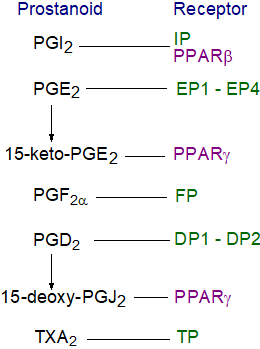 Prostanoids and their receptors