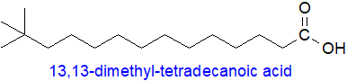 Structural formula of 13,13-dimethyl-tetradecanoic acid