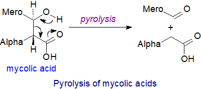 Degradation of mycolic acids by pyrolysis