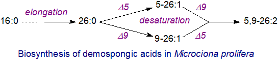 Biosynthesis of 5,9-unsaturated fatty acids in sponges