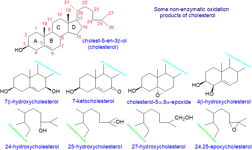 Structural formulae of oxysterols