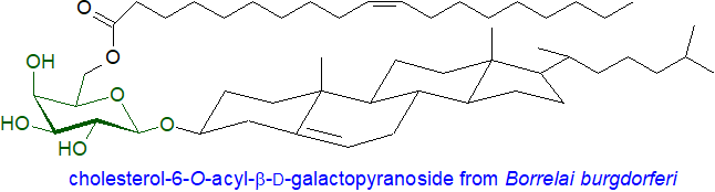 Formula of cholesterol 6-O-acylgalactoside from Borrelia burgdorferi