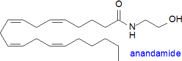 Formula of anandamide