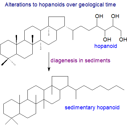 Changes to hopanoids with geological time