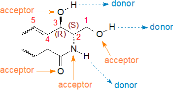 sphingoid motif