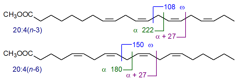 Mass spectral fragmentations in relation to double bond positions