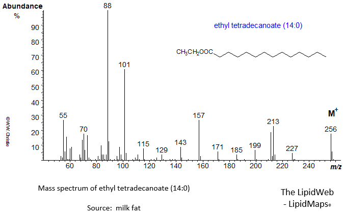 mass spectrum