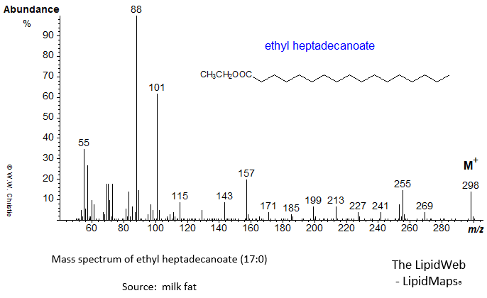 mass spectrum