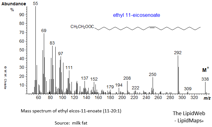 mass spectrum