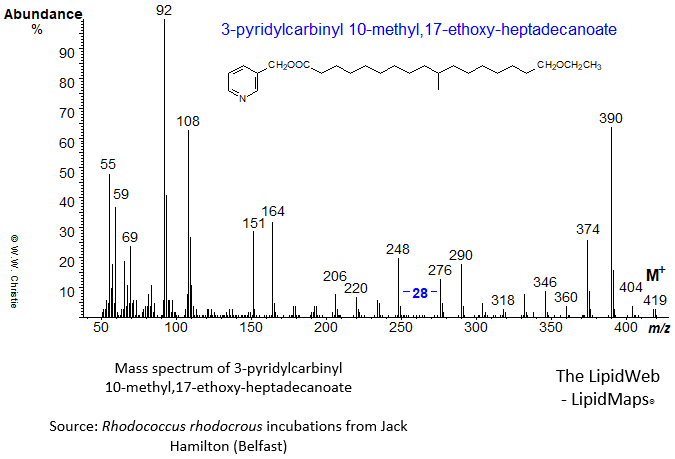 mass spectrum