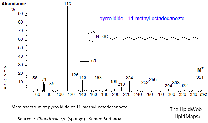 mass spectrum