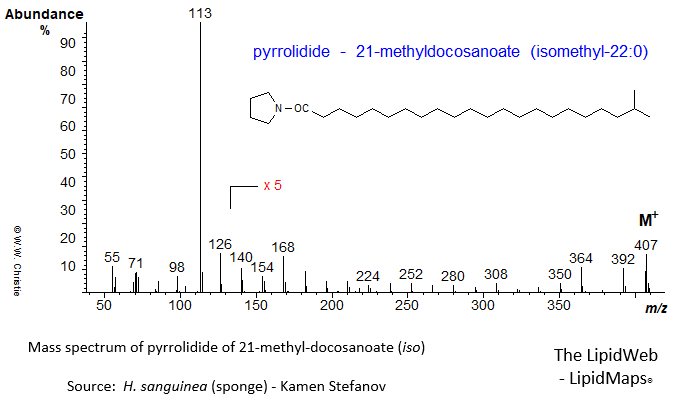 mass spectrum