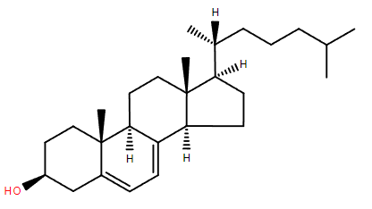 Lipid of the Month