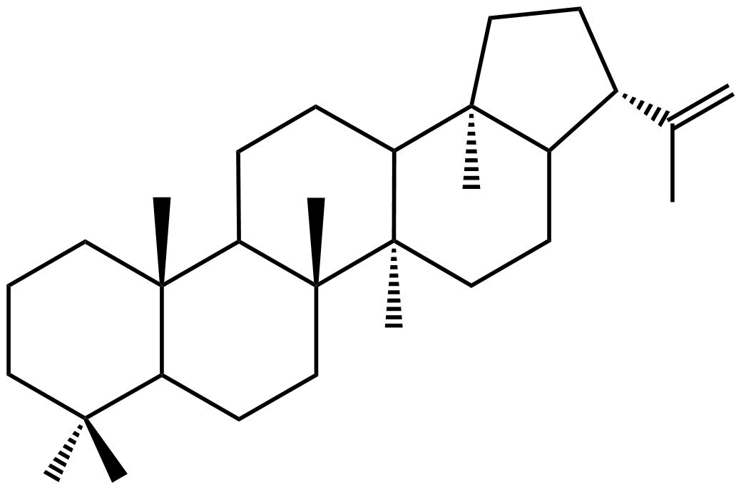 Lipid of the Month