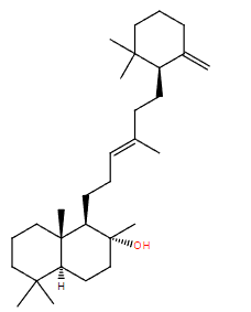 Lipid of the Month