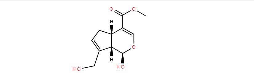 Lipid of the Month