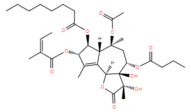 Lipid of the Month