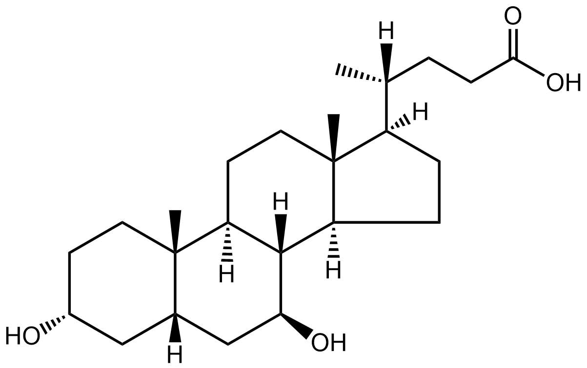 Lipid of the Month